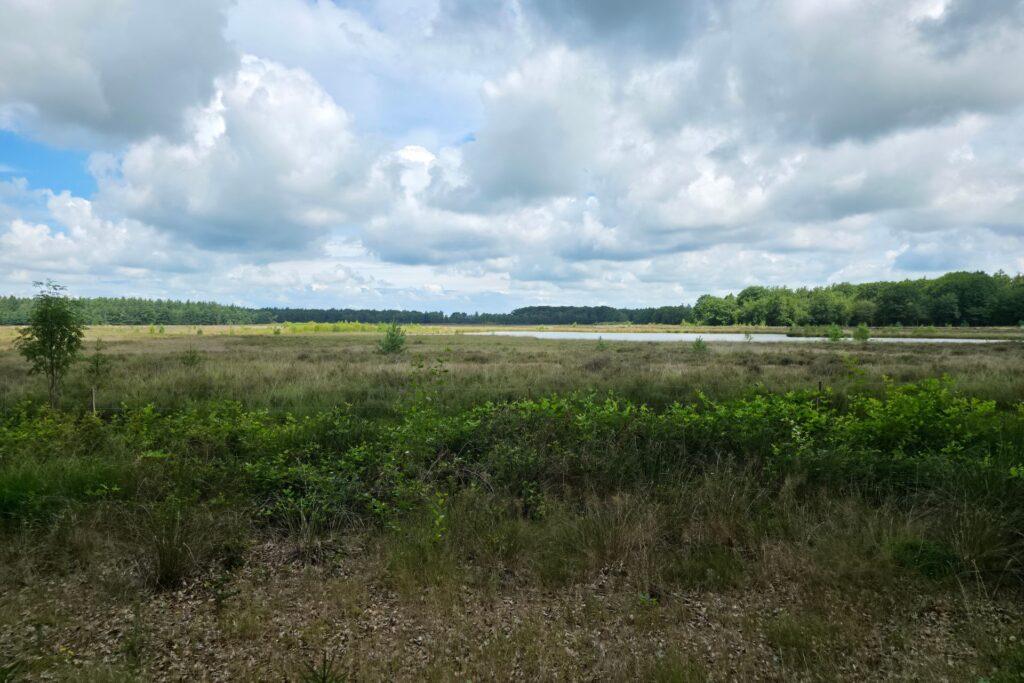 Stikstofbeleid 2025: wat kan nog wél in de bouw, landbouw en industrie?