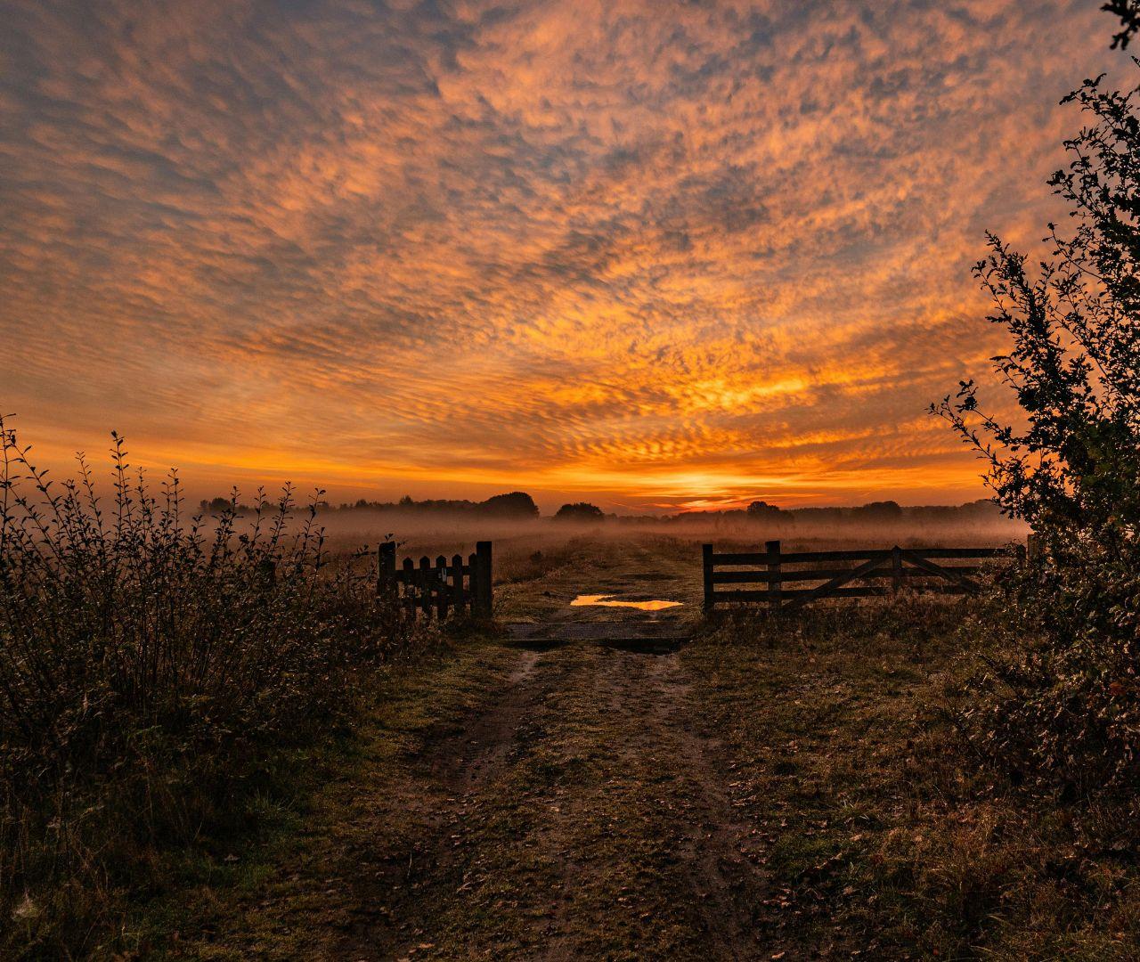 Natuurgebied bij zonsondergang
